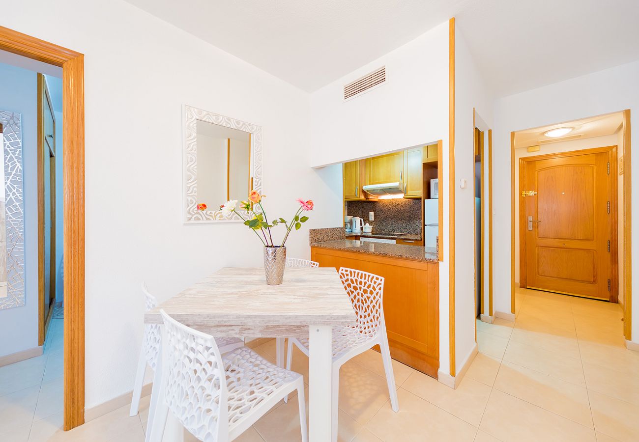 Apartment in Torrevieja - ID84