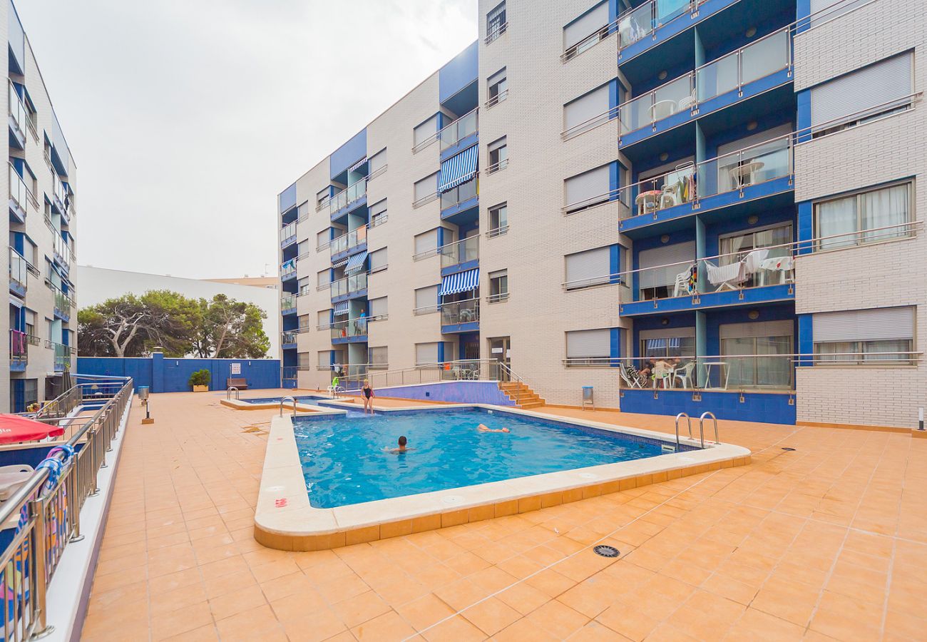 Apartment in Torrevieja - ID84