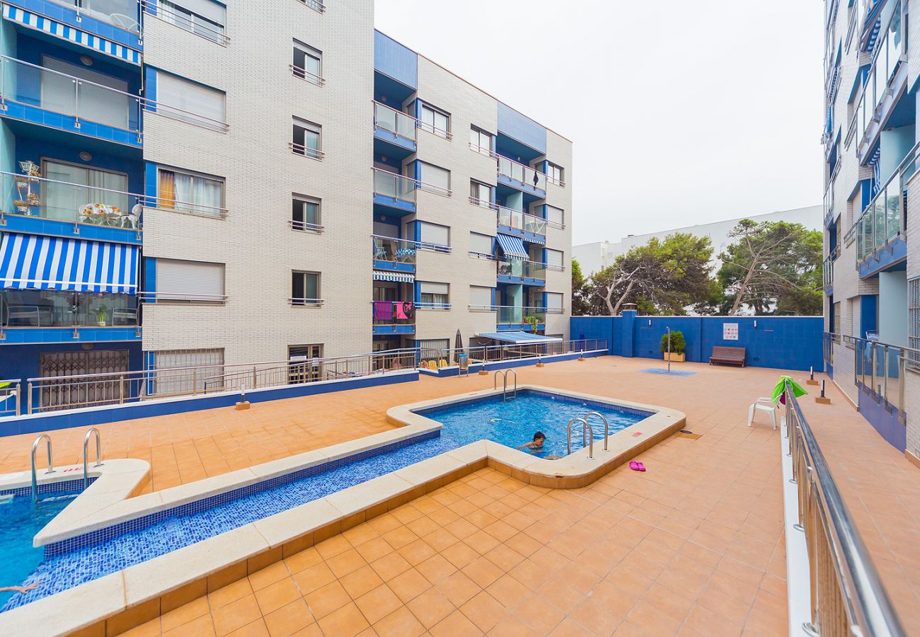 Apartment in Torrevieja - ID84