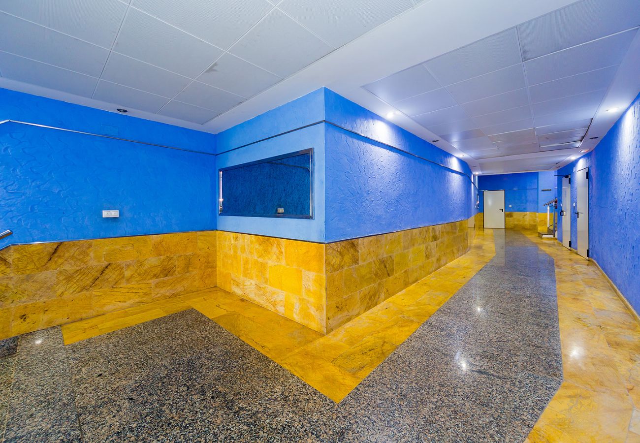 Apartment in Torrevieja - ID84