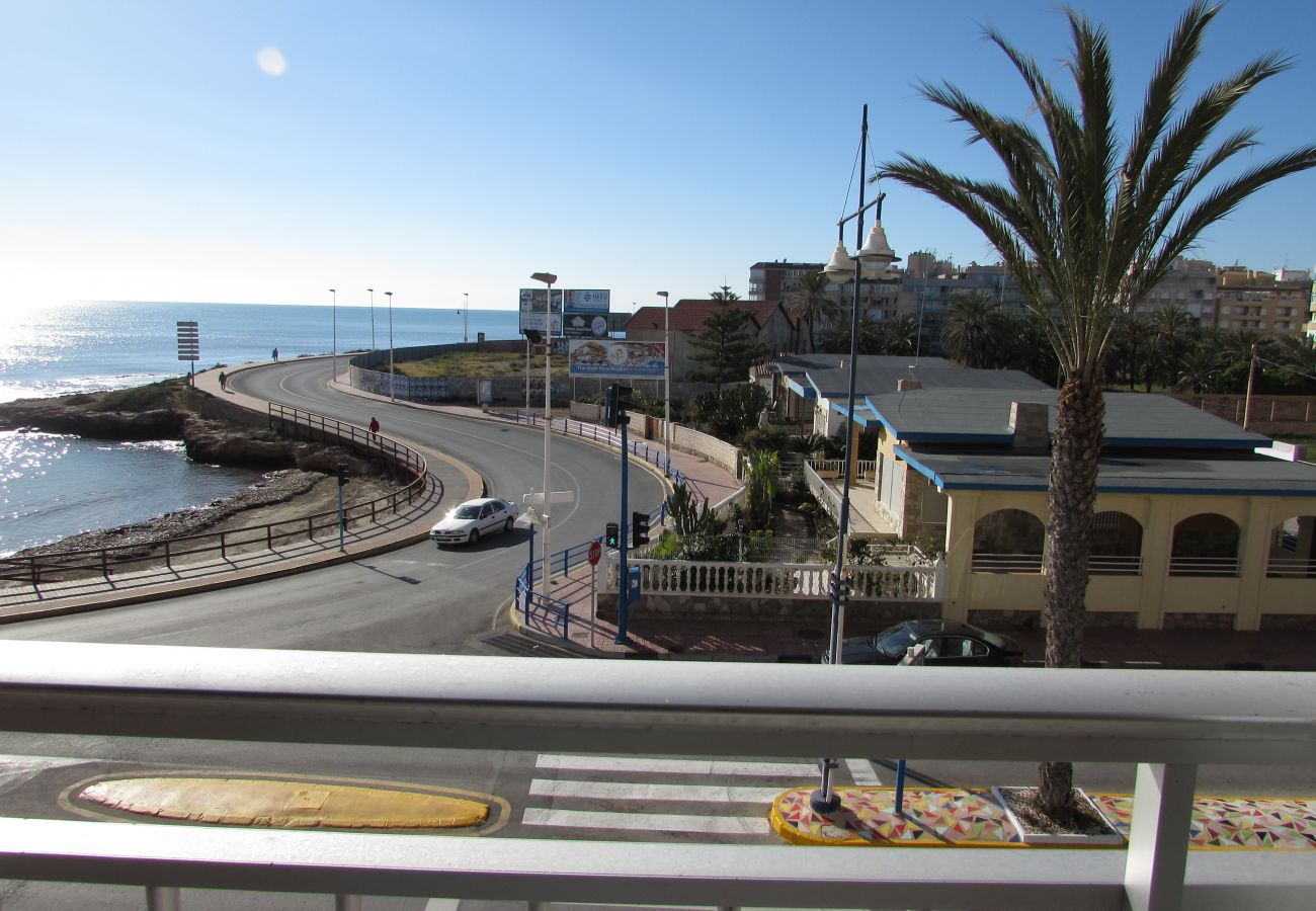 Apartment in Torrevieja - ID99