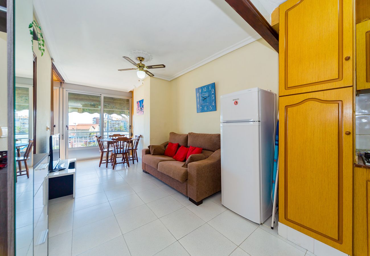 Apartment in Torrevieja - ID99