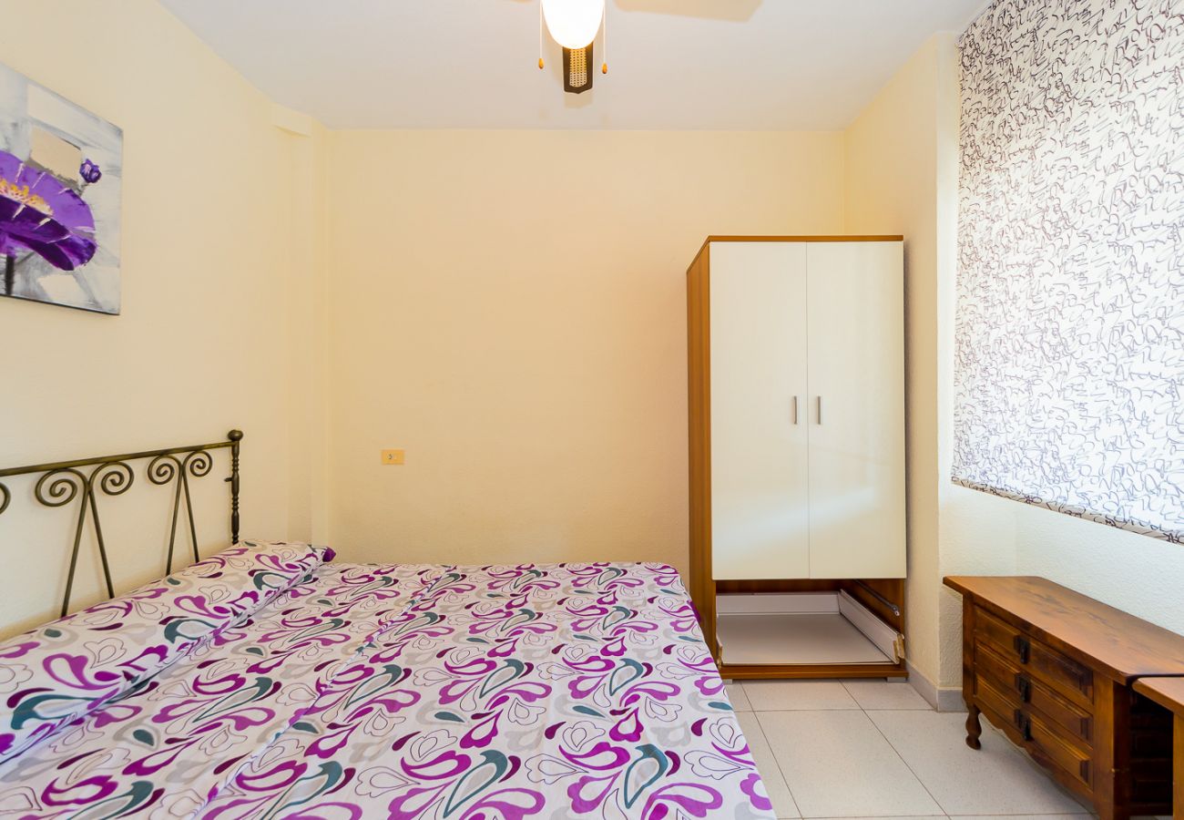 Apartment in Torrevieja - ID99