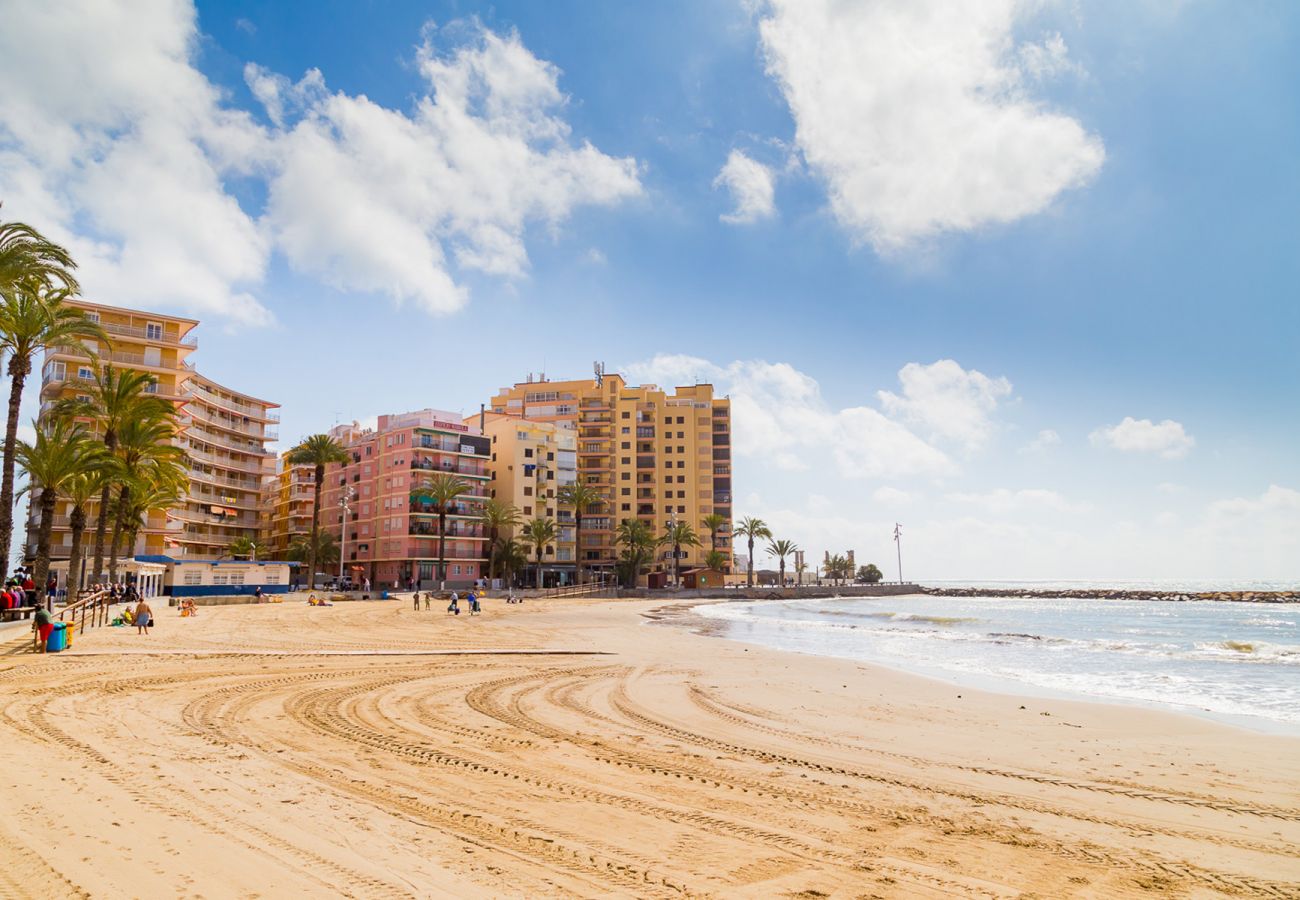 Apartment in Torrevieja - ID99