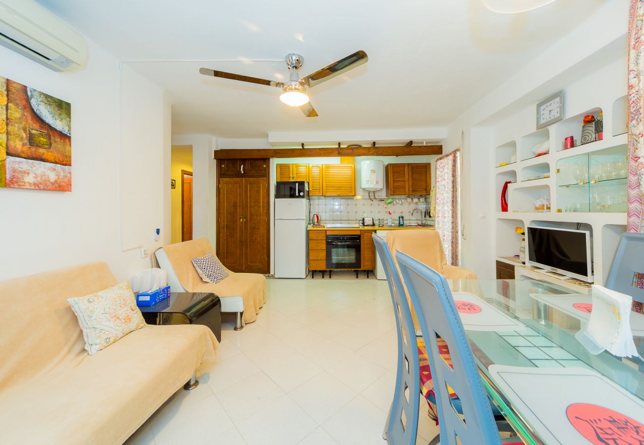 Apartment in Torrevieja - ID63