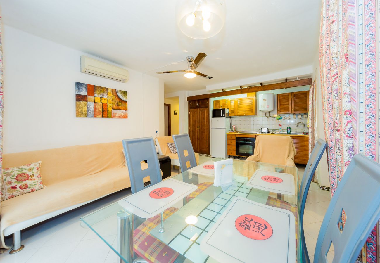 Apartment in Torrevieja - ID63