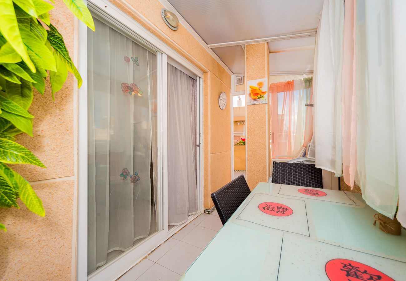 Apartment in Torrevieja - ID63