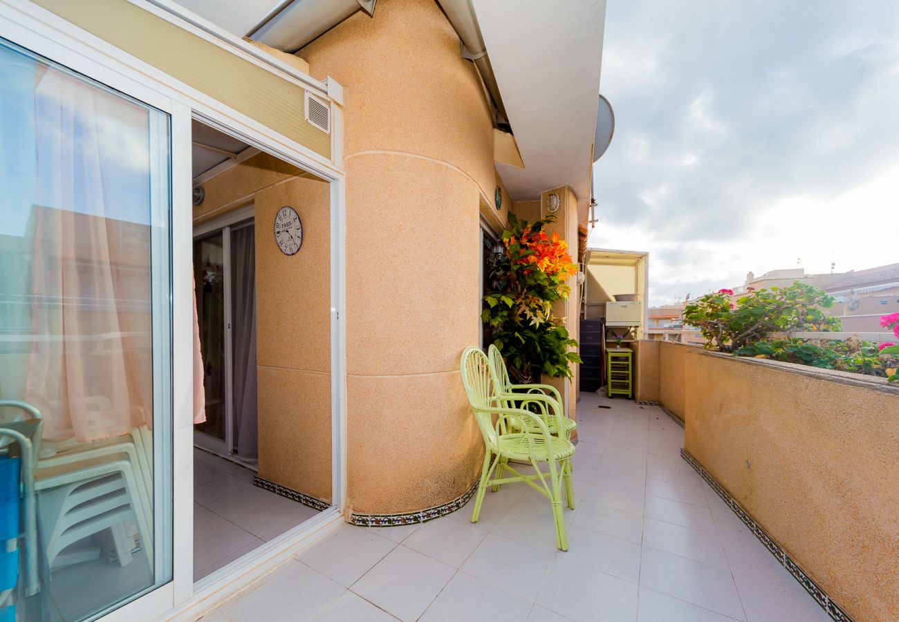 Apartment in Torrevieja - ID63