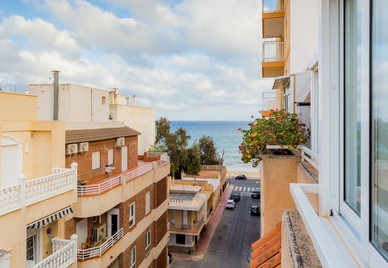 Apartment in Torrevieja - ID63