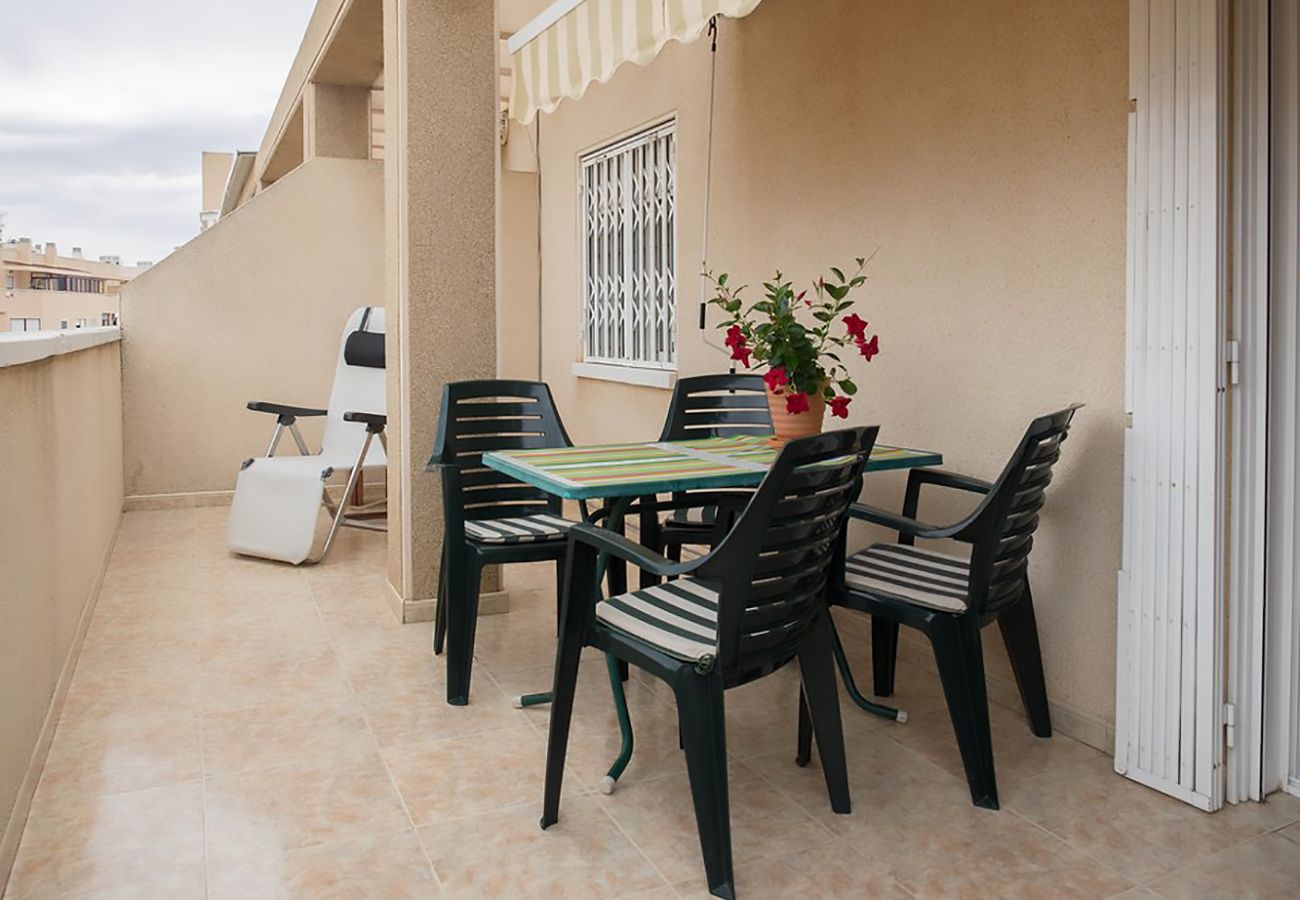 Apartment in Torrevieja - ID5