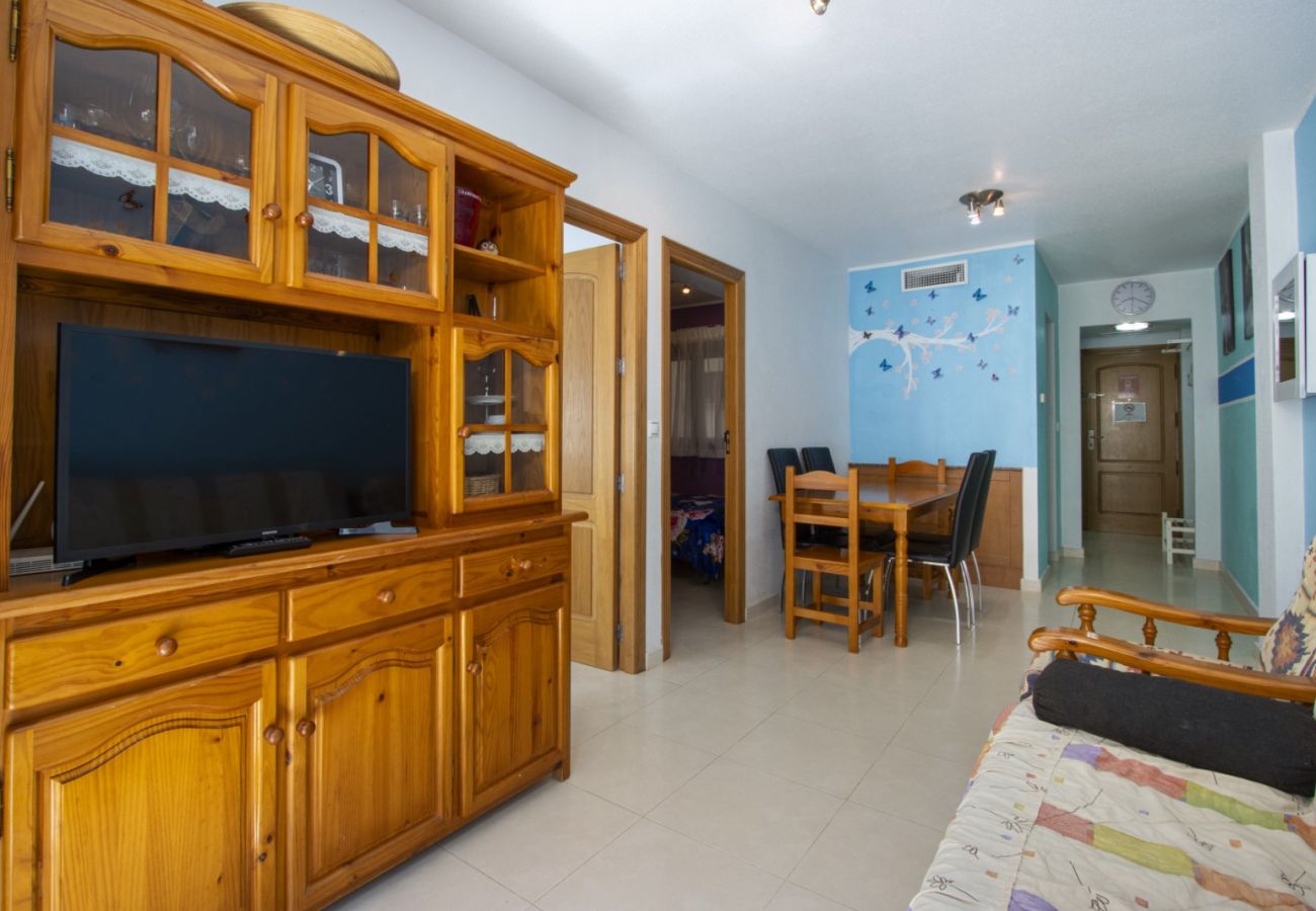 Apartment in Torrevieja - ID82