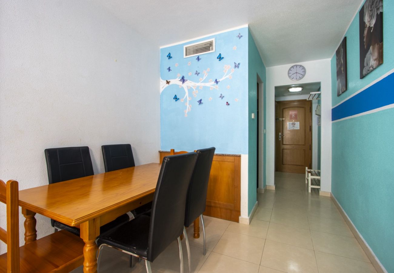 Apartment in Torrevieja - ID82