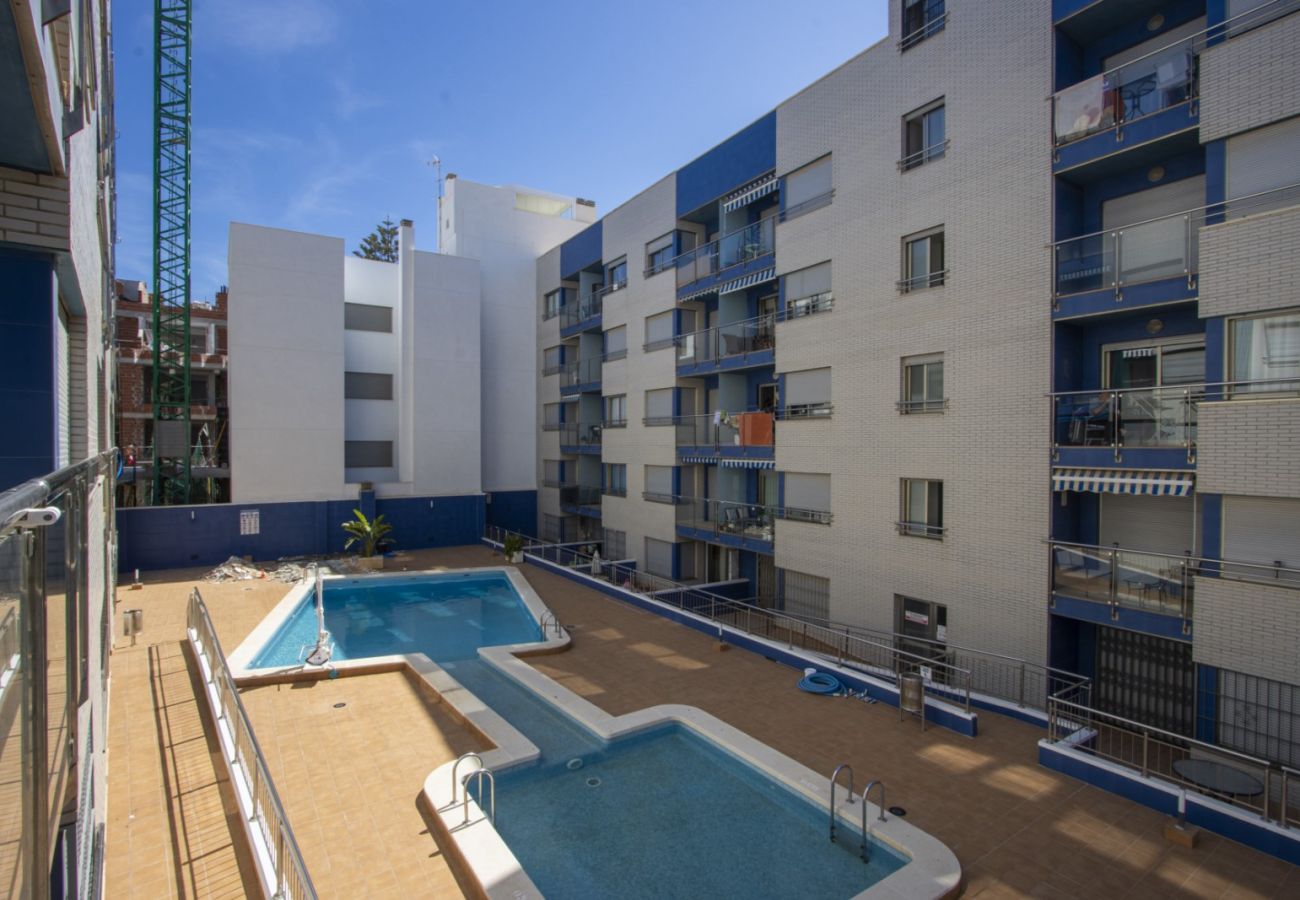 Apartment in Torrevieja - ID82