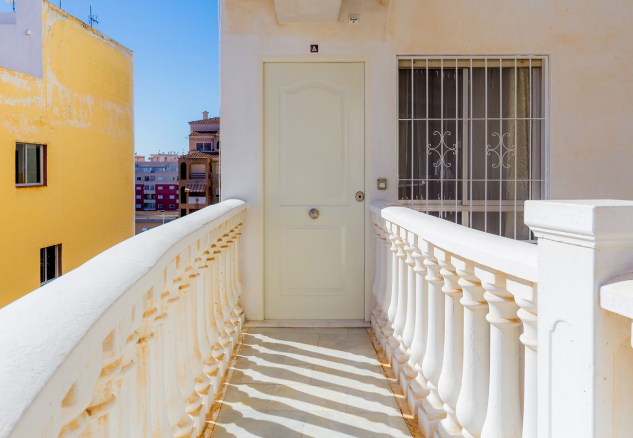 Apartment in Torrevieja - ID14