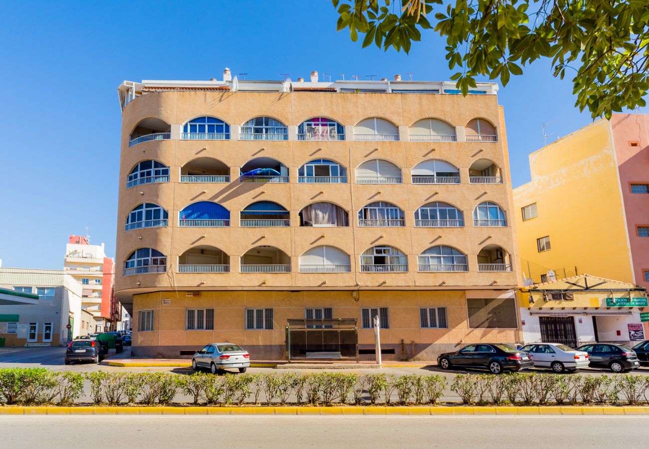 Apartment in Torrevieja - ID14