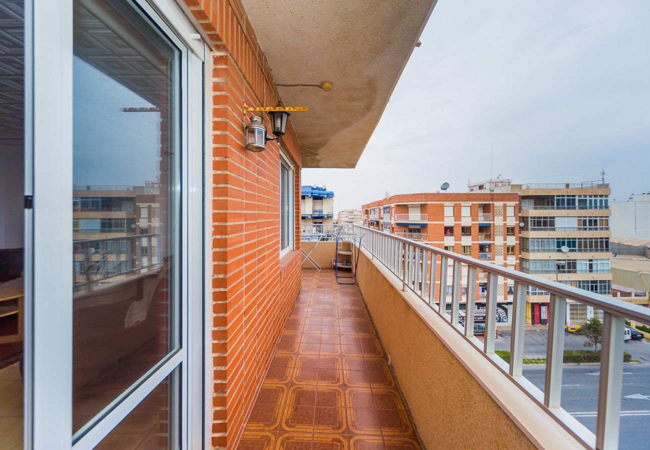 Apartment in Torrevieja - ID106