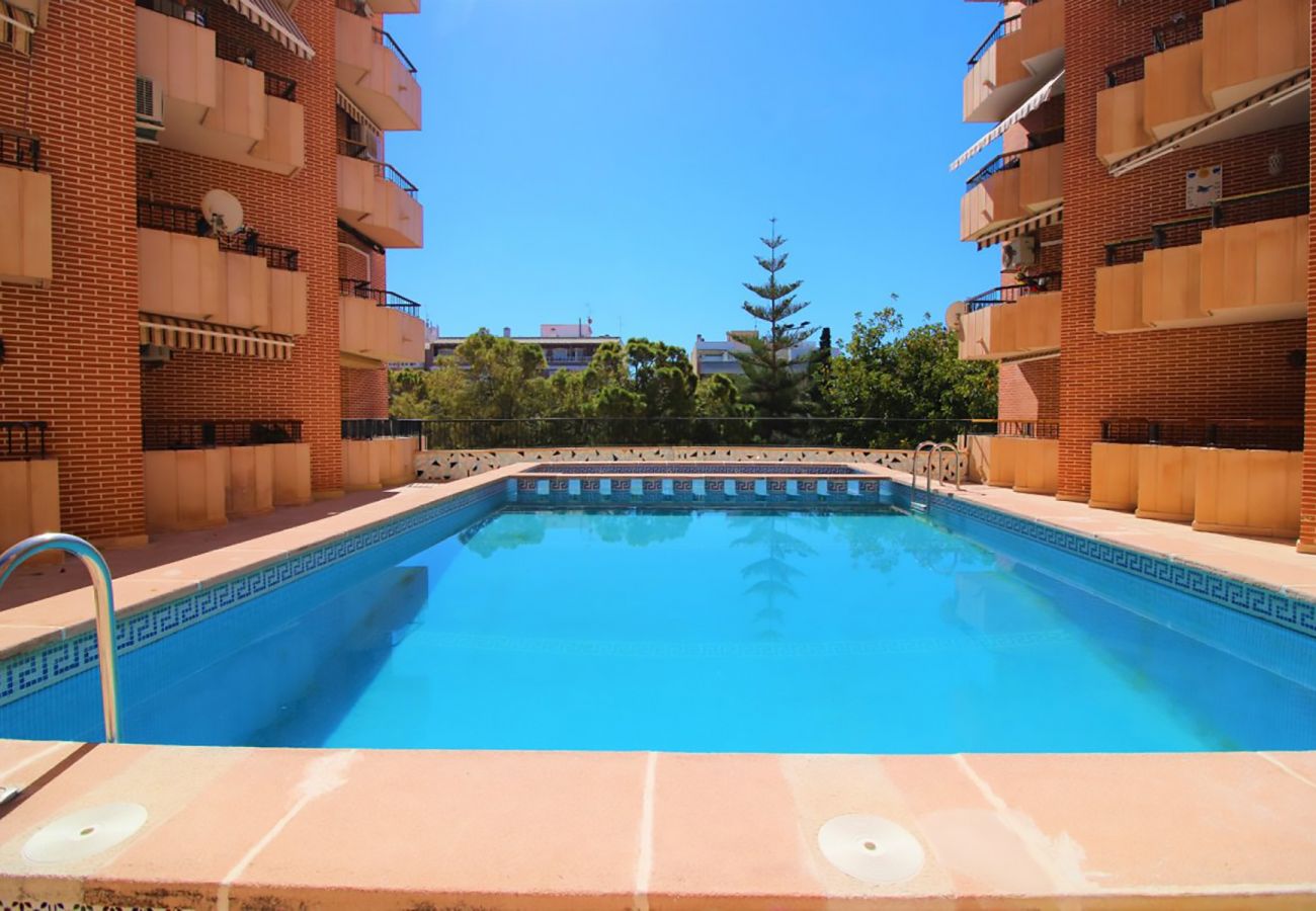 Apartment in Torrevieja - ID21