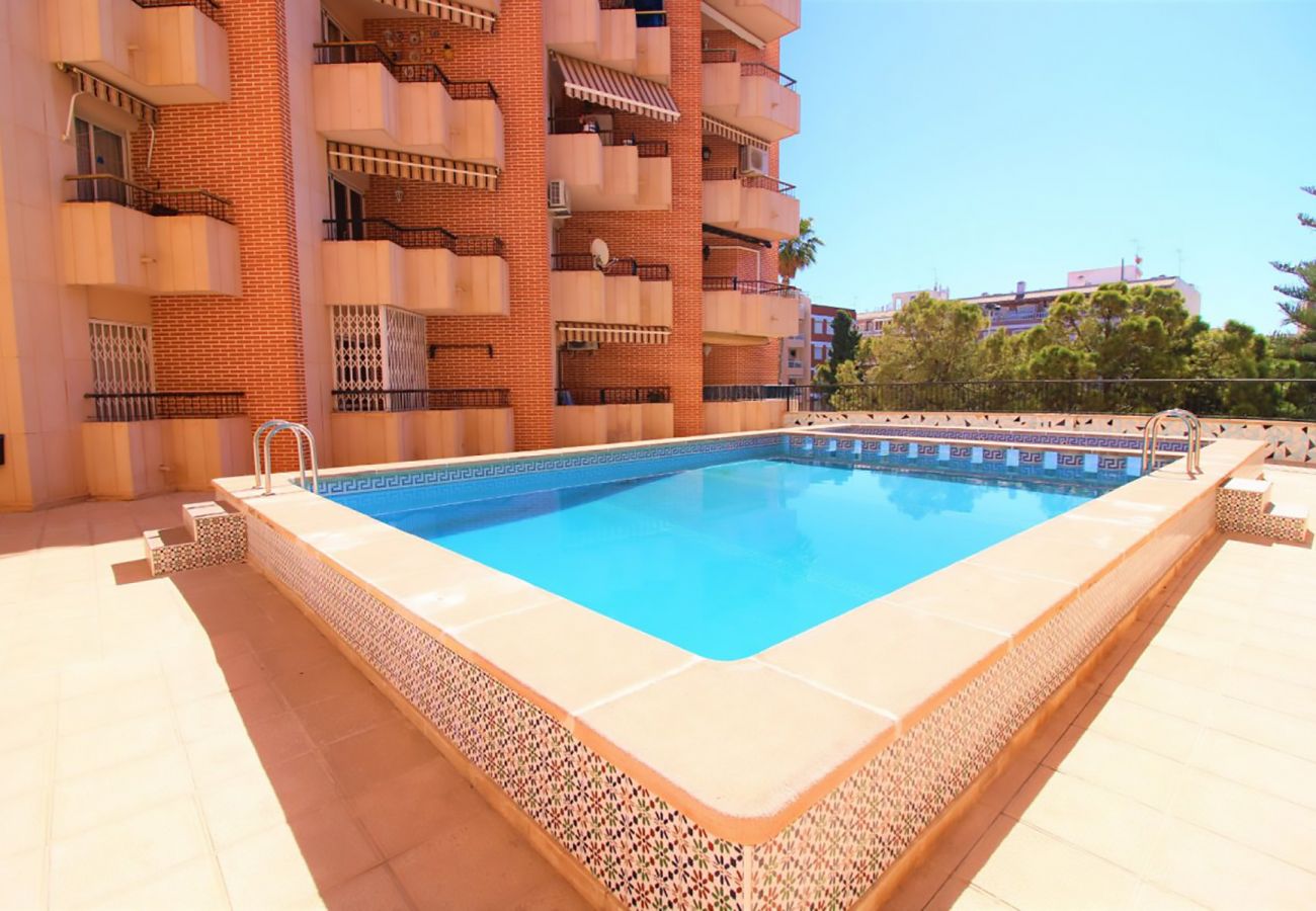 Apartment in Torrevieja - ID21