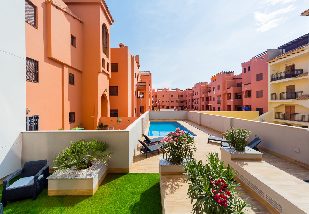 Apartment in Torrevieja - ID8