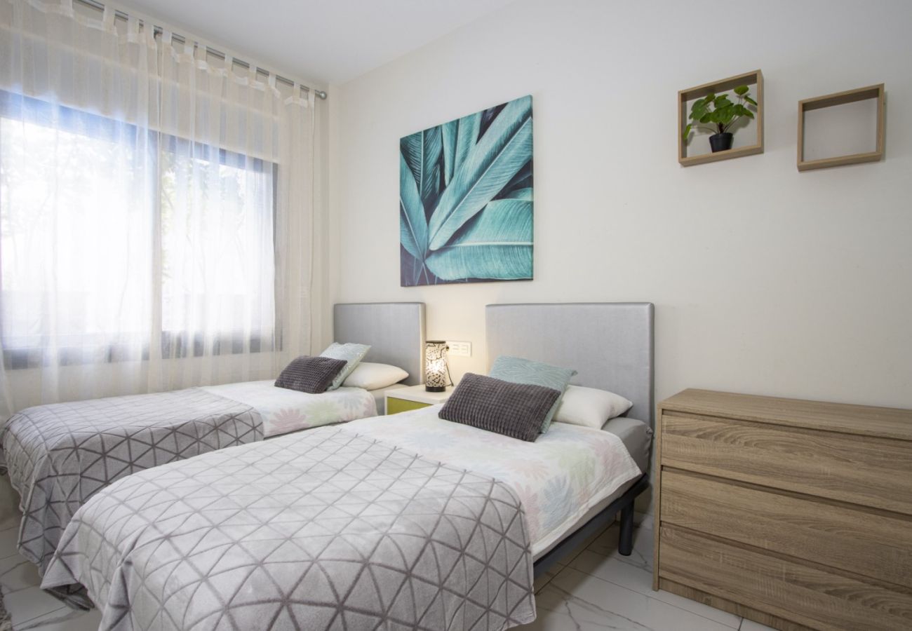 Apartment in Torrevieja - ID66