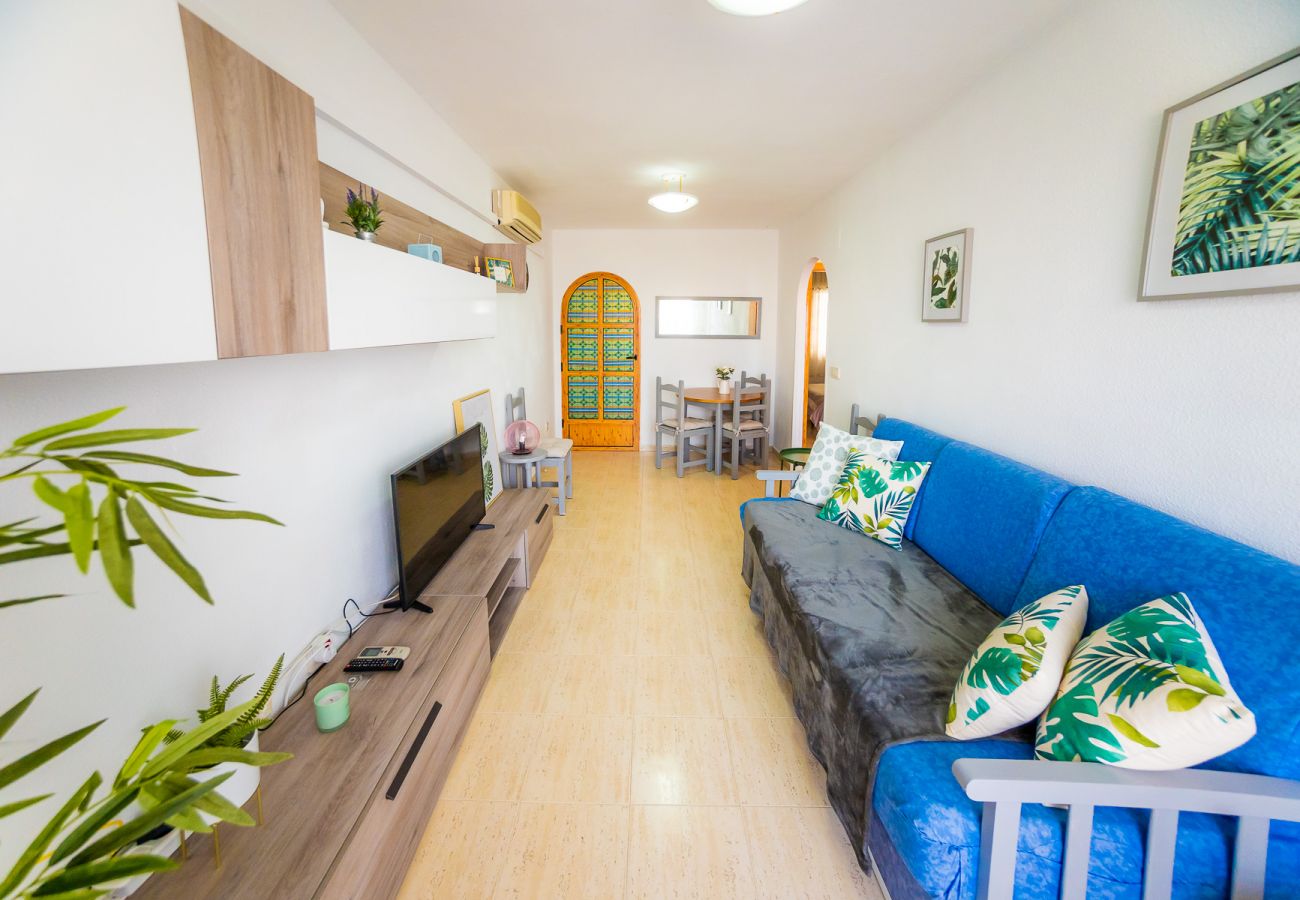 Apartment in Torrevieja - ID27