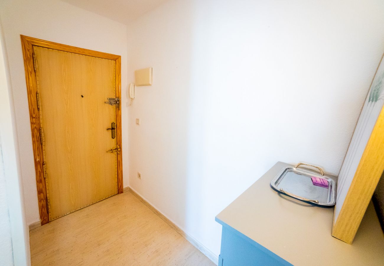 Apartment in Torrevieja - ID27