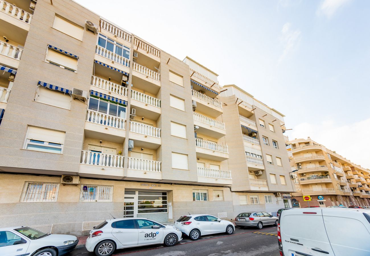 Apartment in Torrevieja - ID27