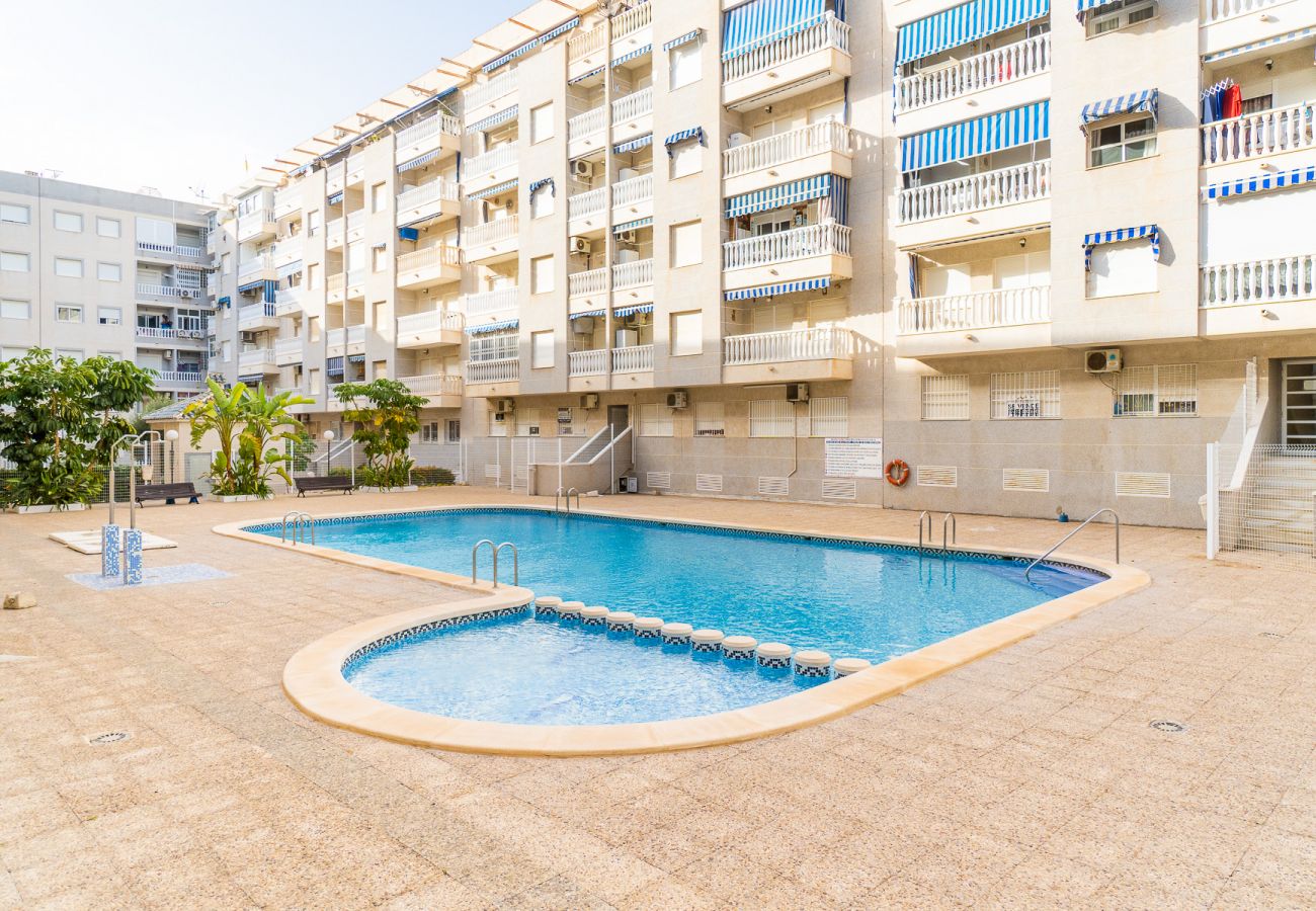 Apartment in Torrevieja - ID27