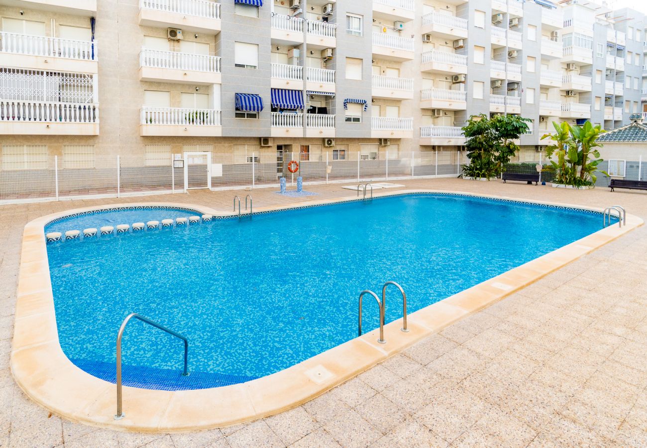 Apartment in Torrevieja - ID27