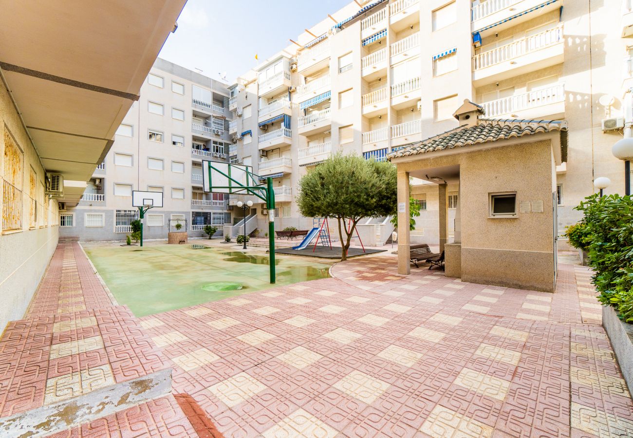 Apartment in Torrevieja - ID27