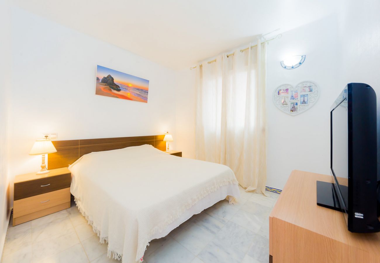 Apartment in Torrevieja - ID47