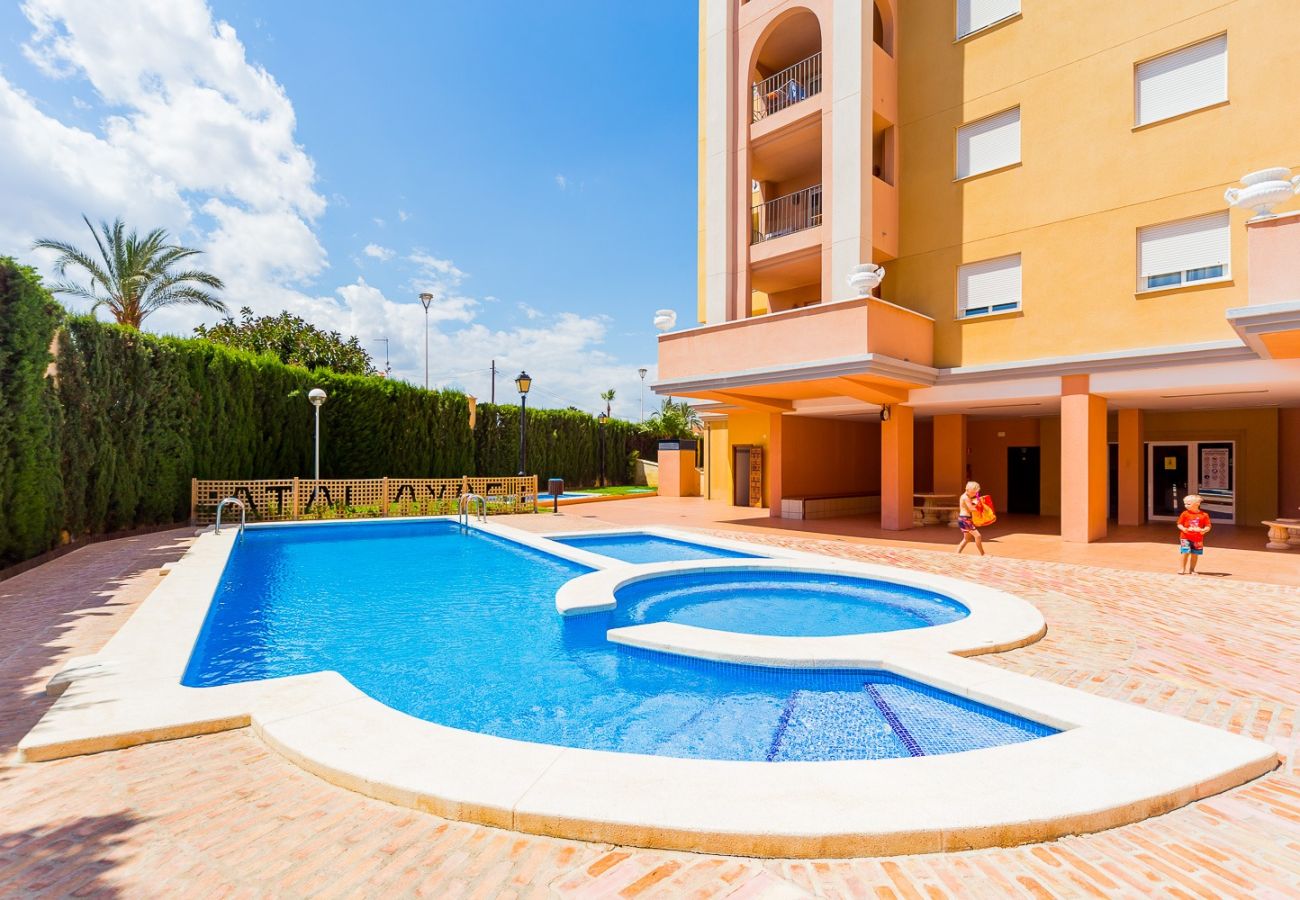 Apartment in Torrevieja - ID47