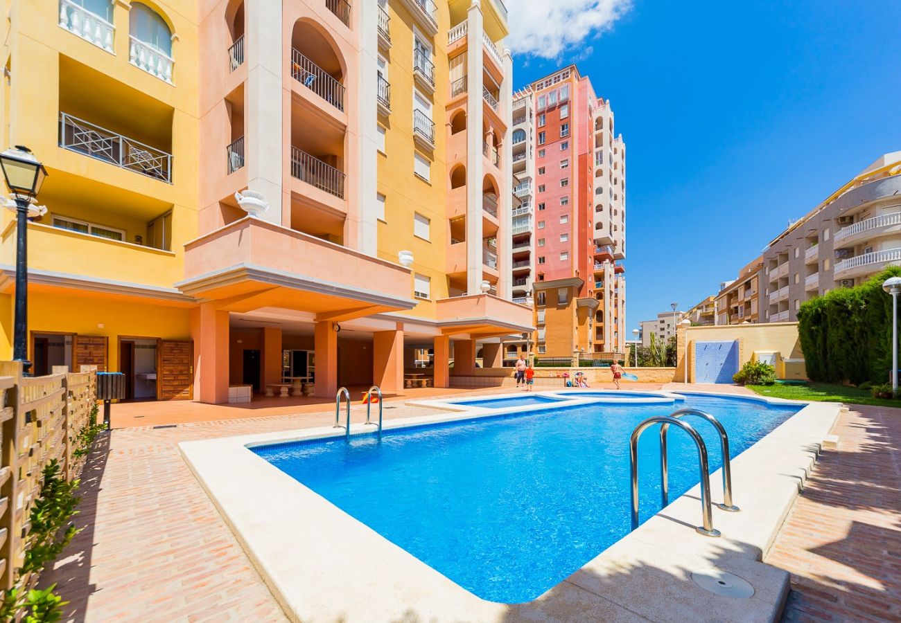 Apartment in Torrevieja - ID47