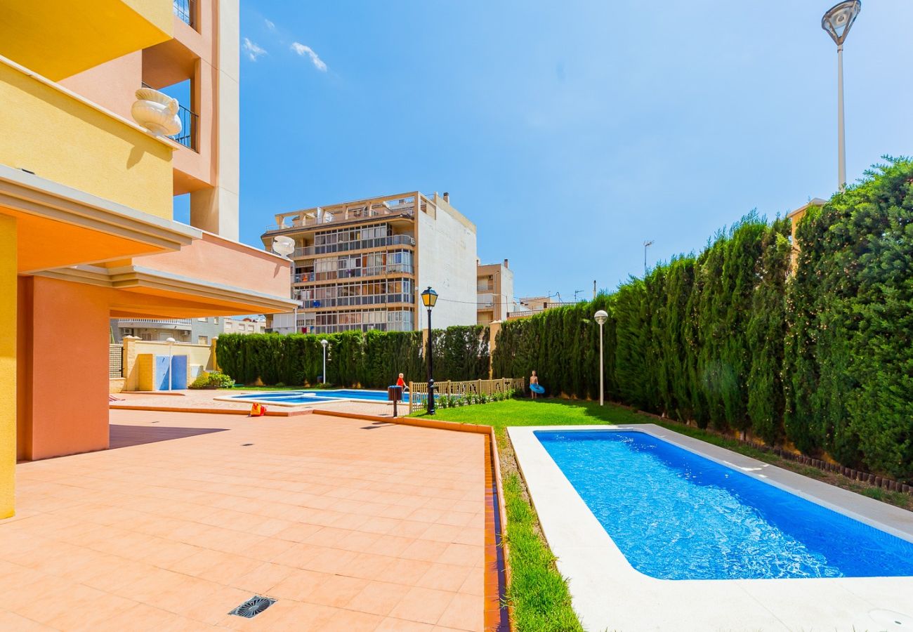 Apartment in Torrevieja - ID47