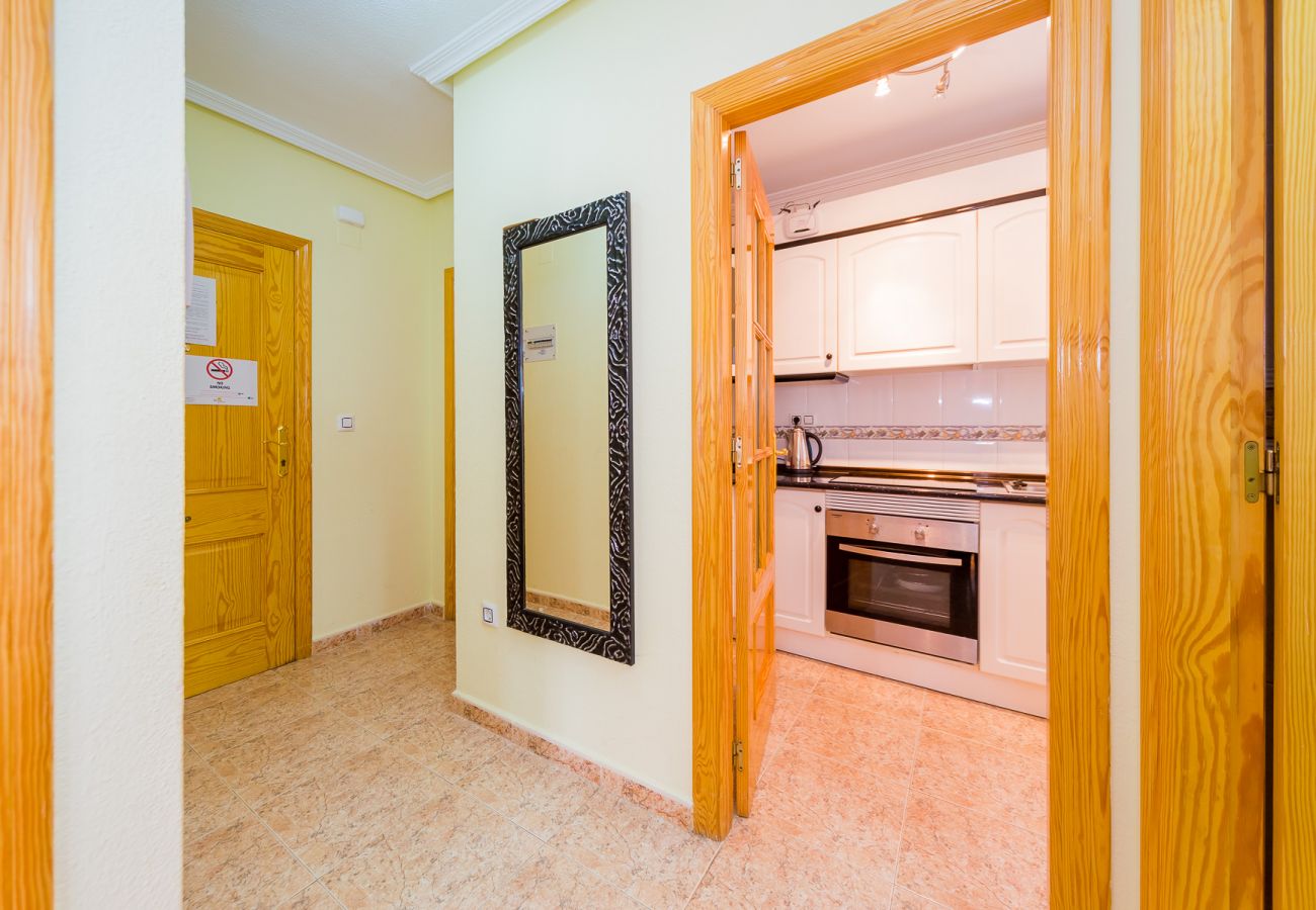 Apartment in Torrevieja - ID55