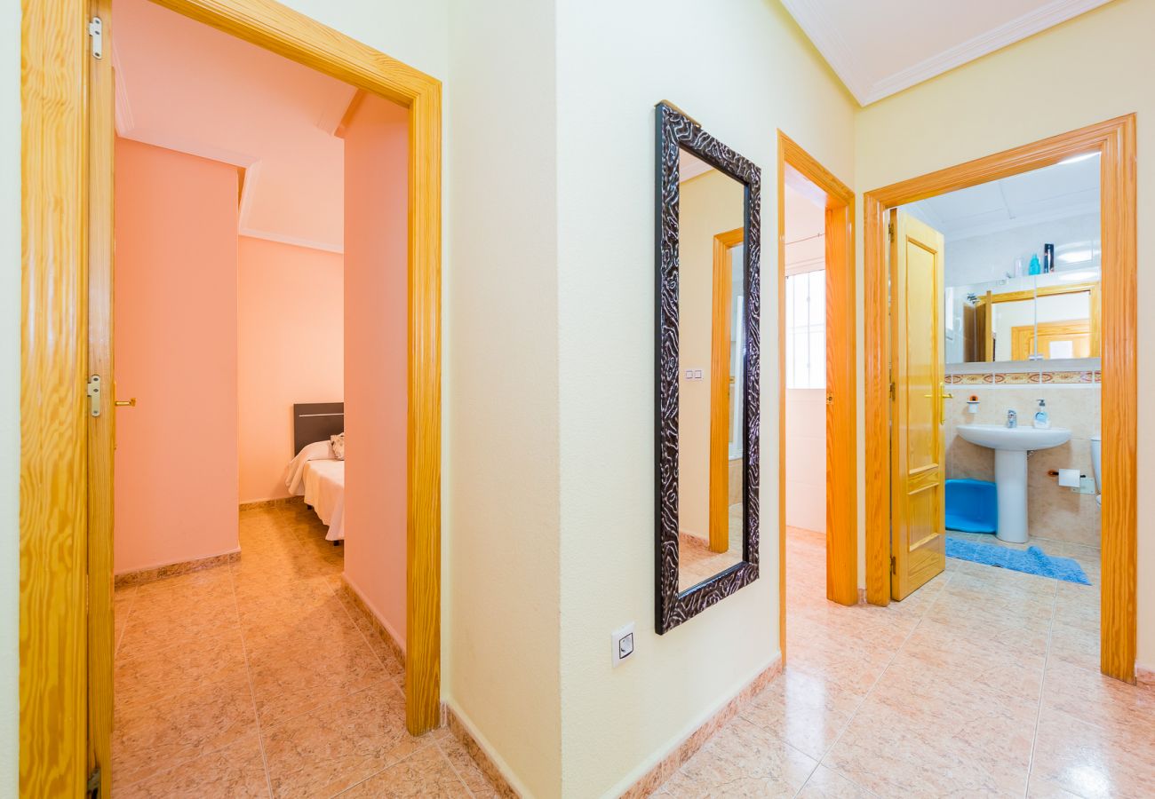 Apartment in Torrevieja - ID55