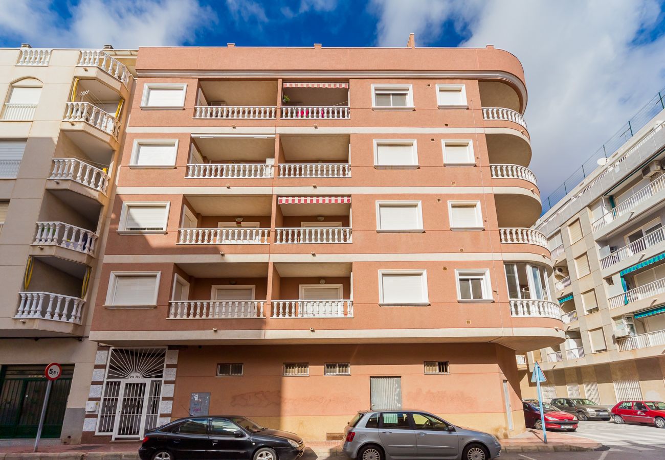 Apartment in Torrevieja - ID55