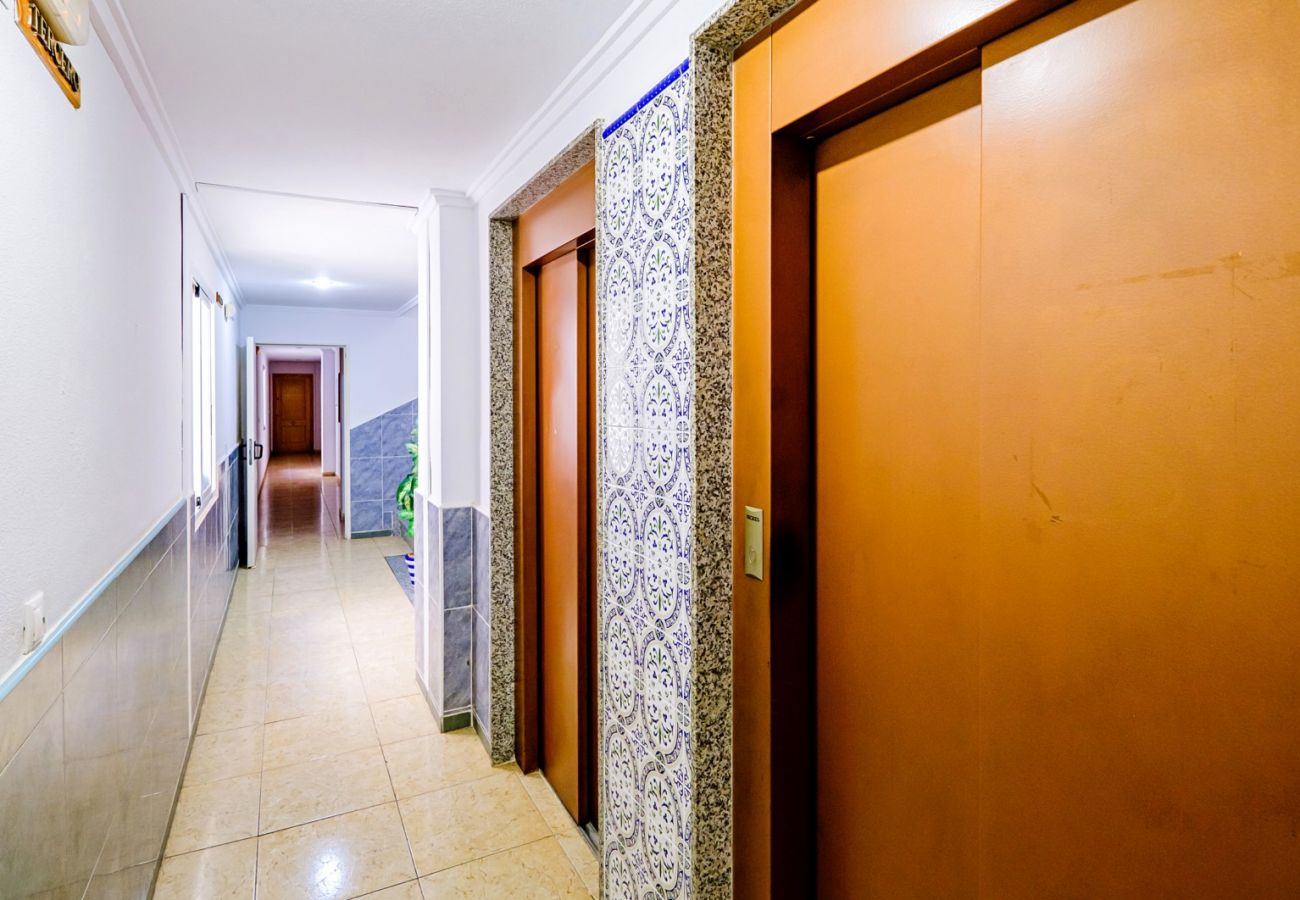 Apartment in Torrevieja - ID90