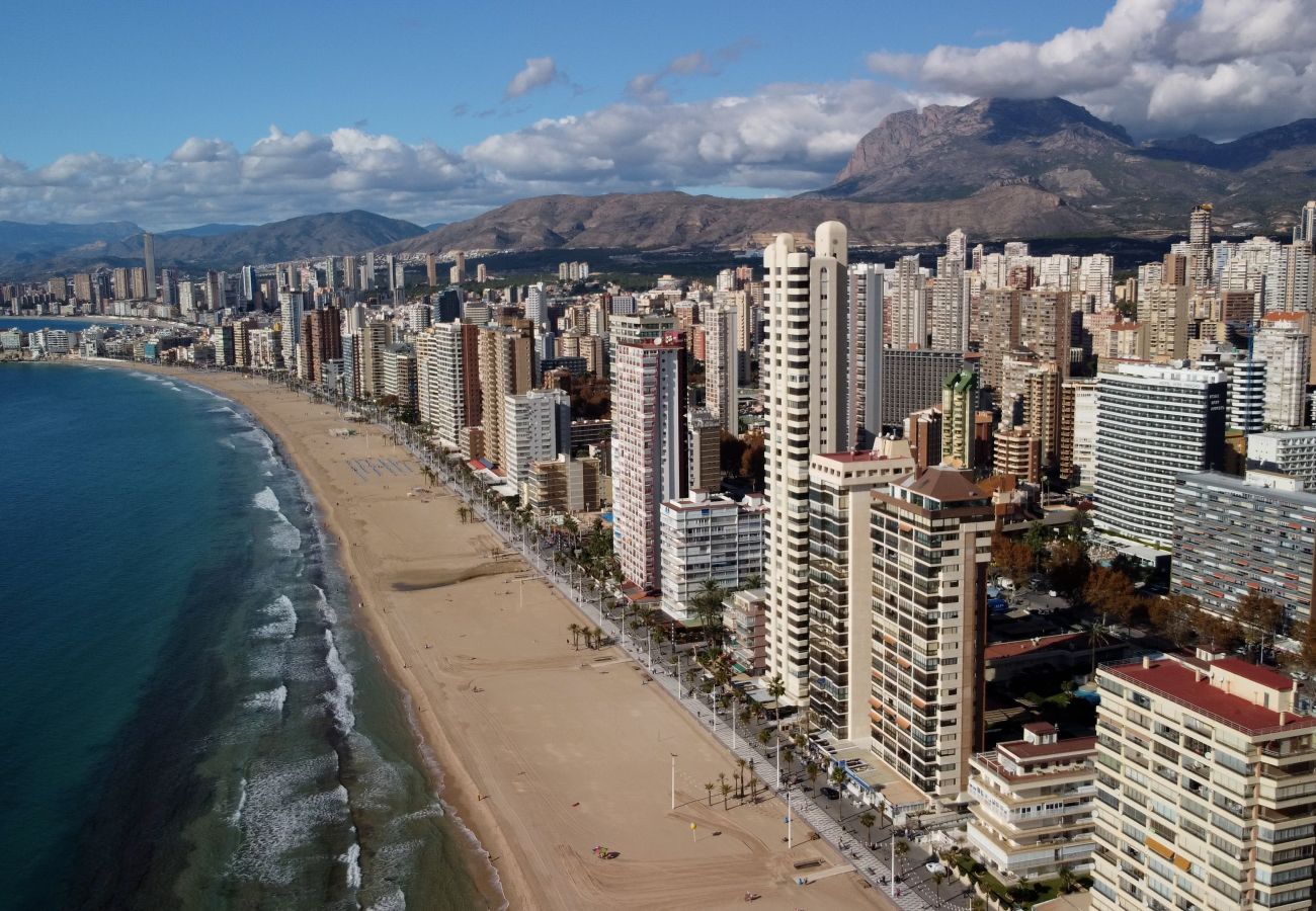 Apartment in Benidorm - Torre Gemelos Benidorm