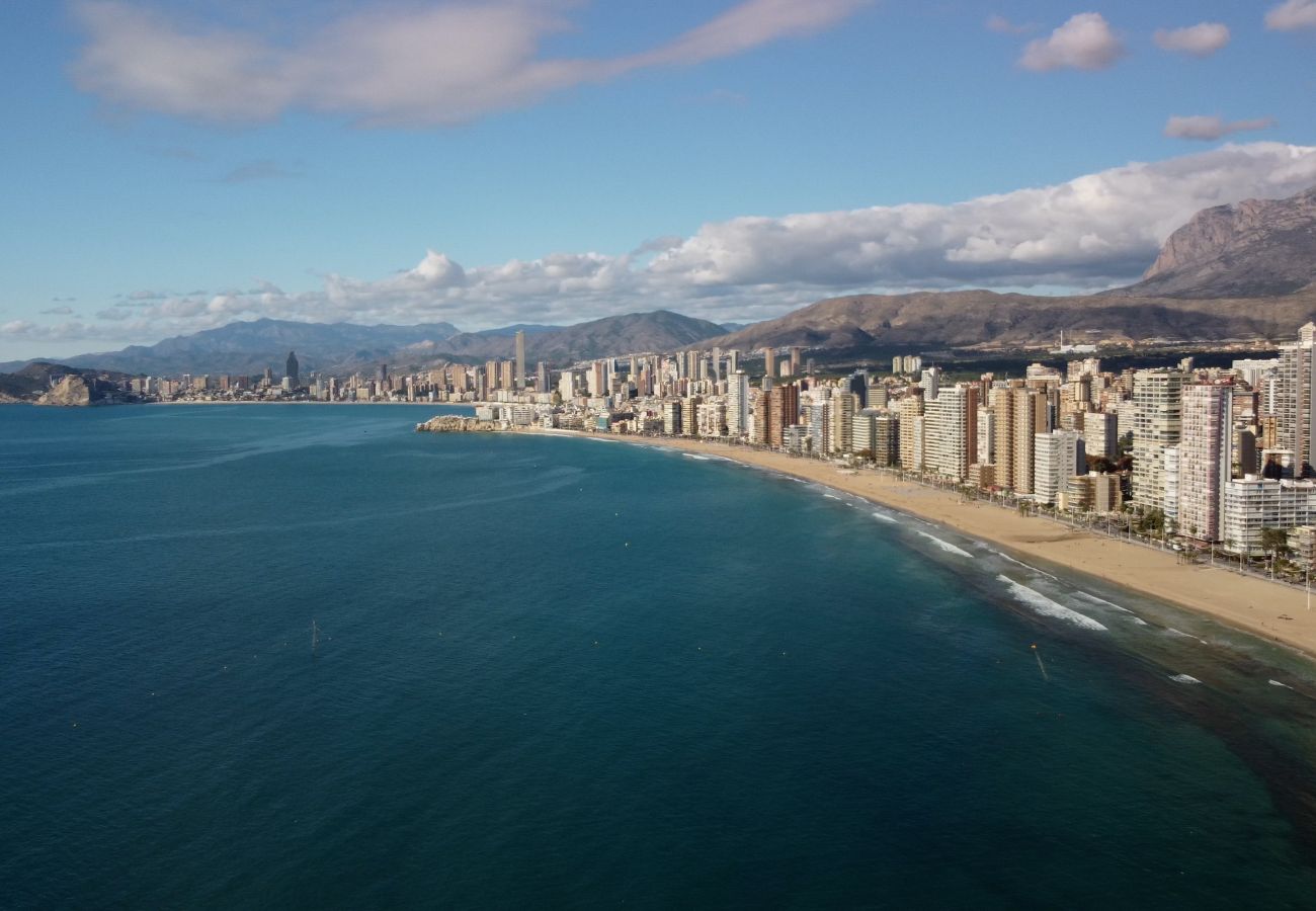 Apartment in Benidorm - Torre Gemelos Benidorm