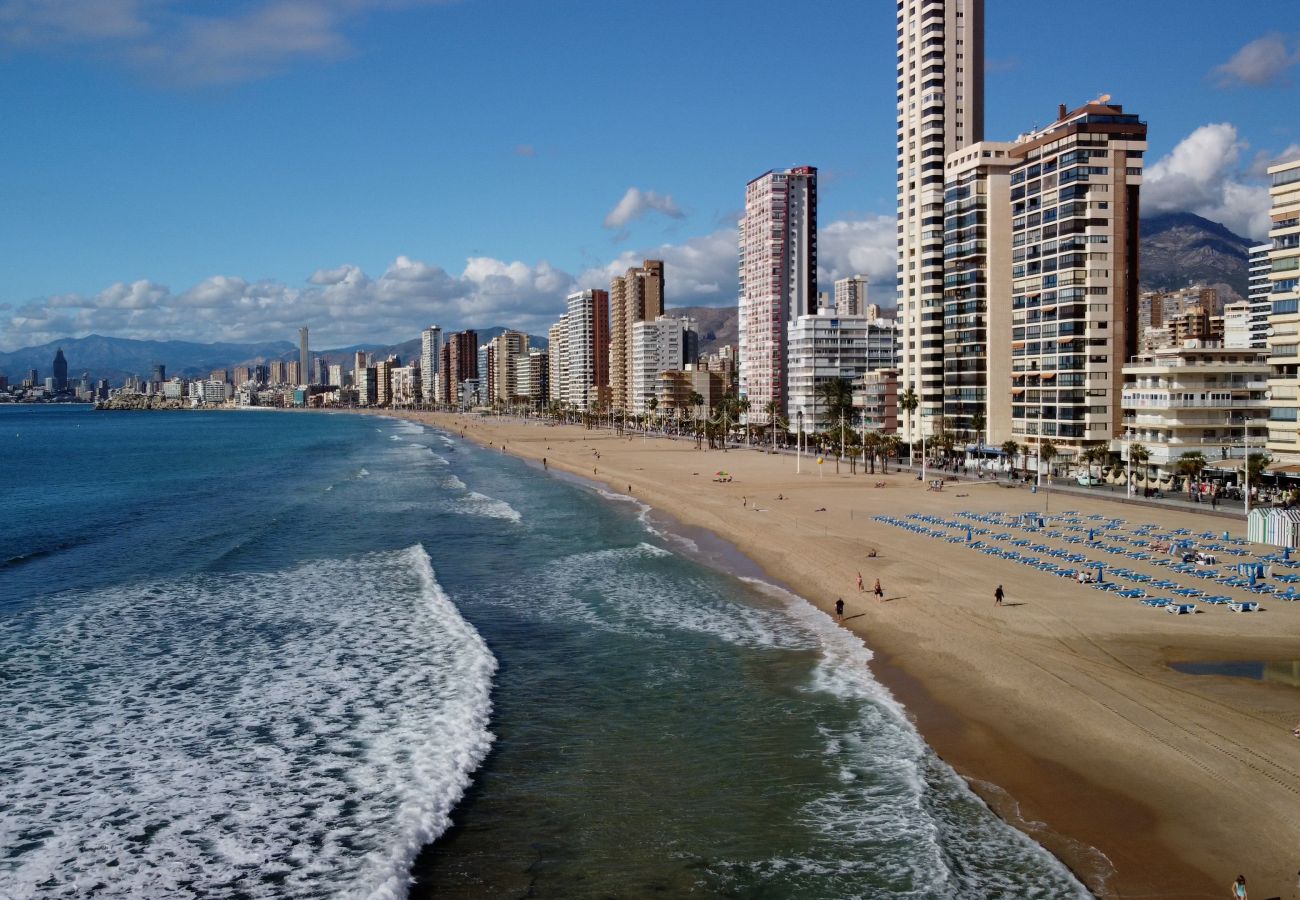 Apartment in Benidorm - Torre Gemelos Benidorm