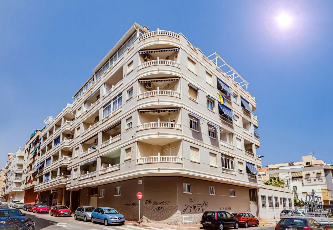 Apartment in Torrevieja - ID111