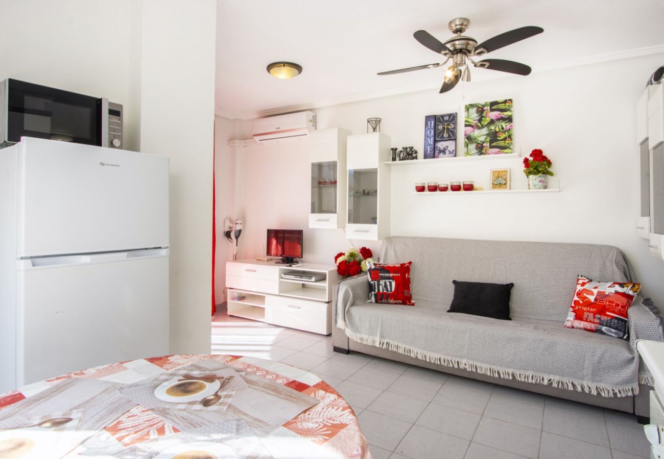 Apartment in Torrevieja - ID88