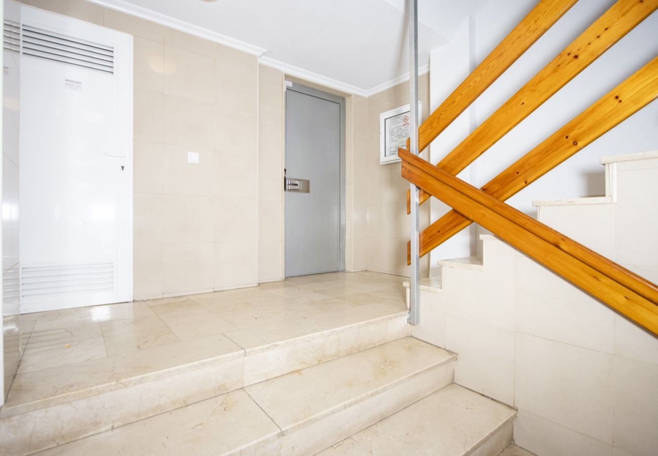 Apartment in Torrevieja - ID88