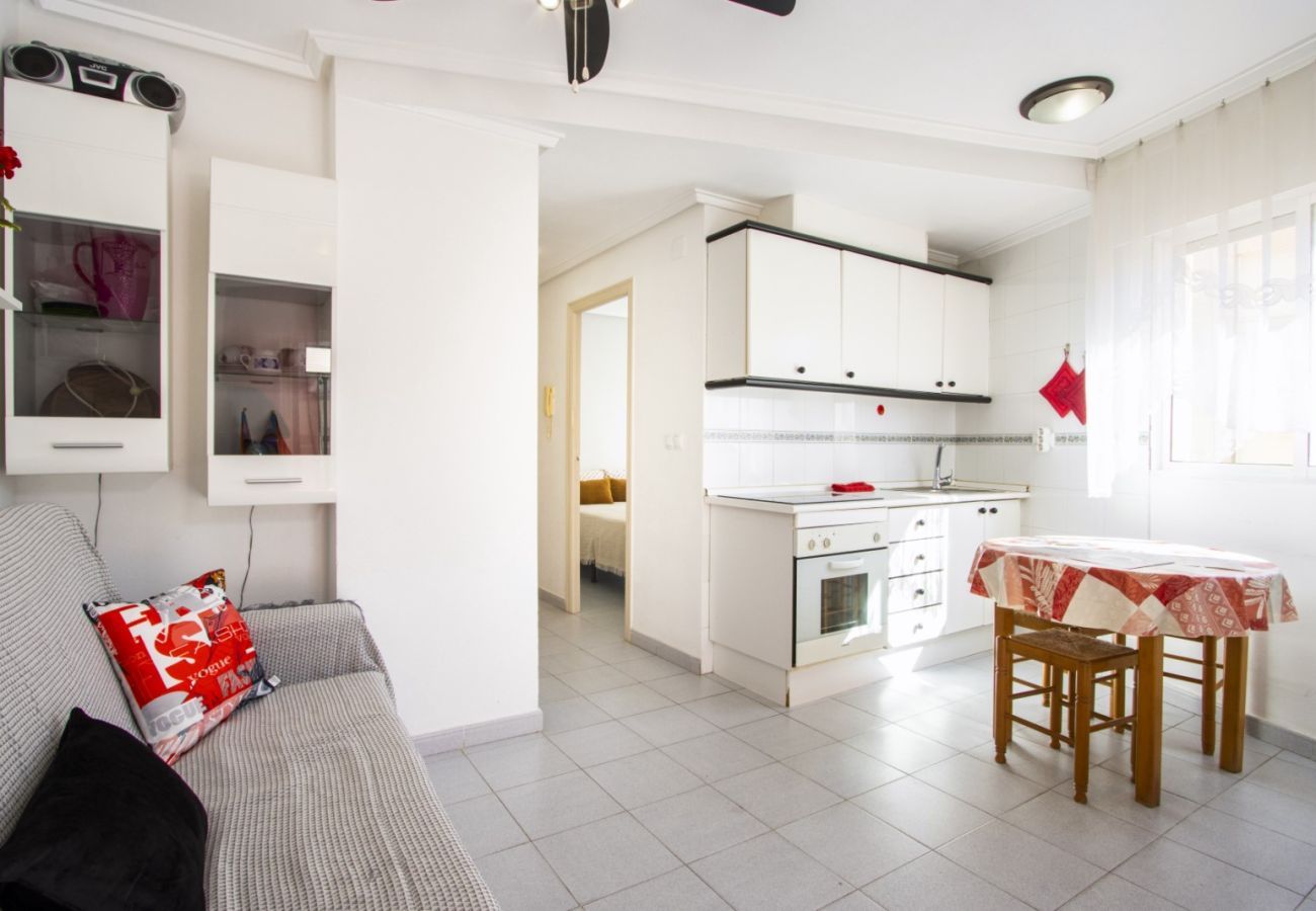 Apartment in Torrevieja - ID88