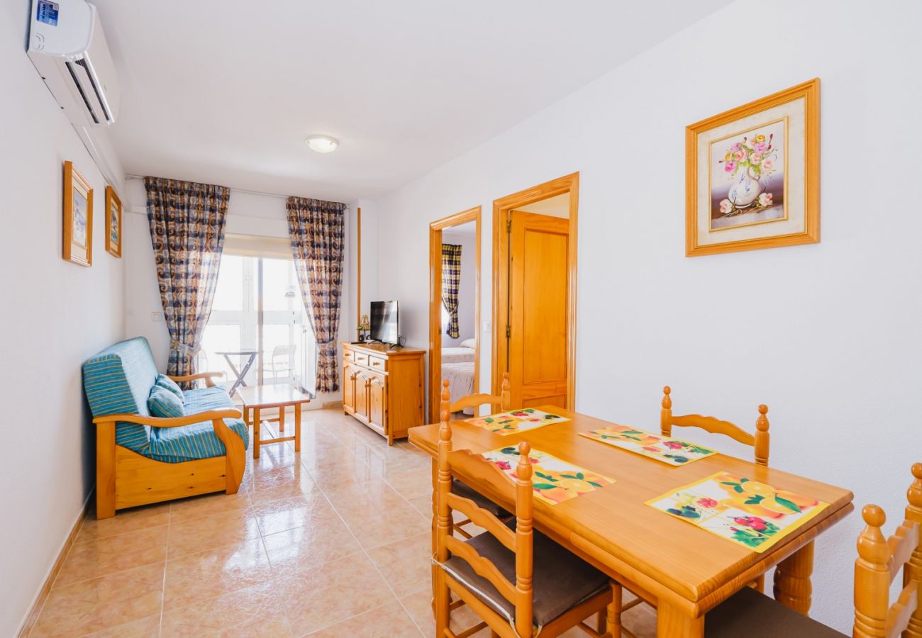 Apartment in Torrevieja - ID116