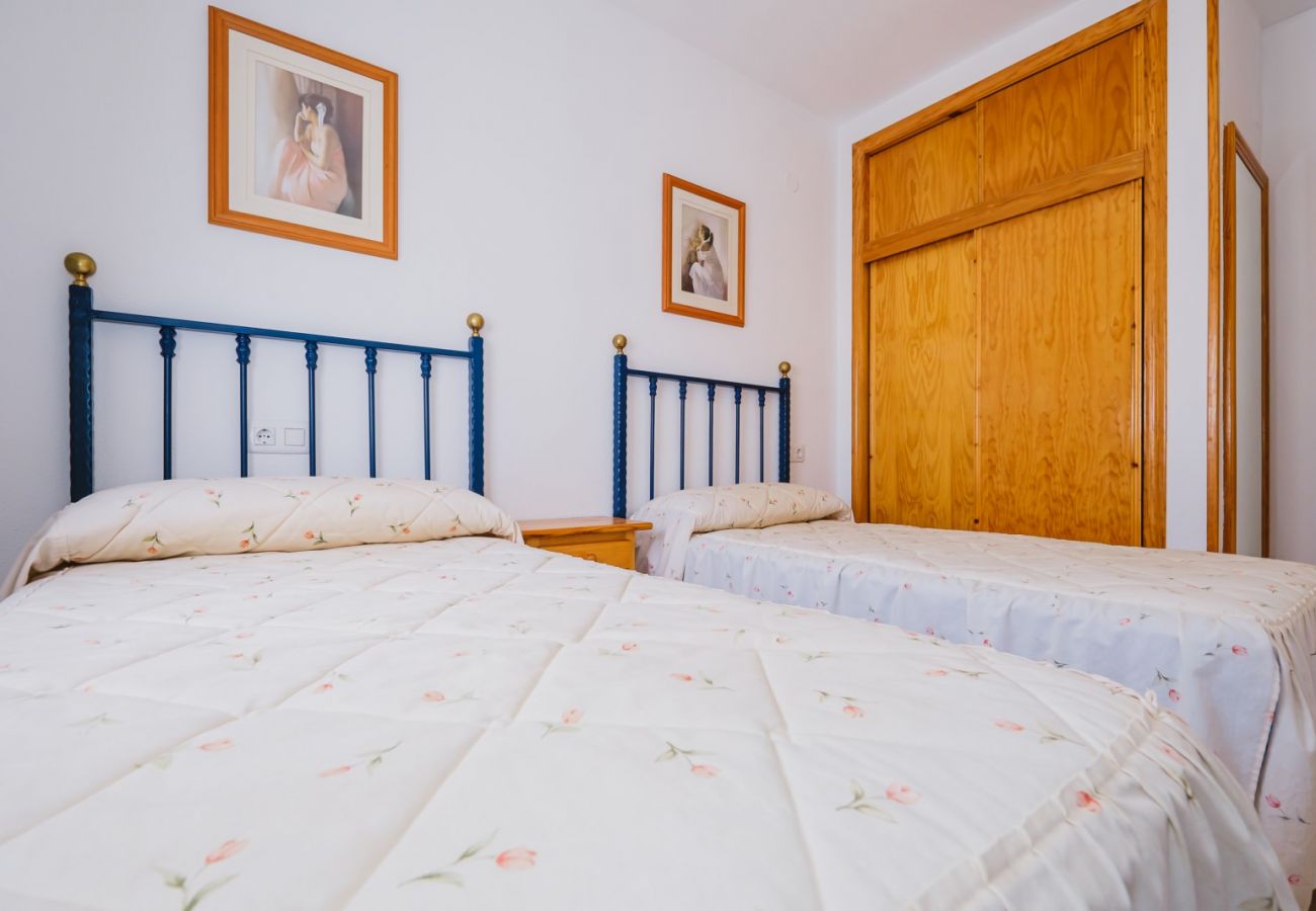 Apartment in Torrevieja - ID116