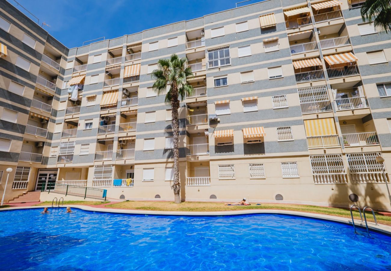 Apartment in Torrevieja - ID116