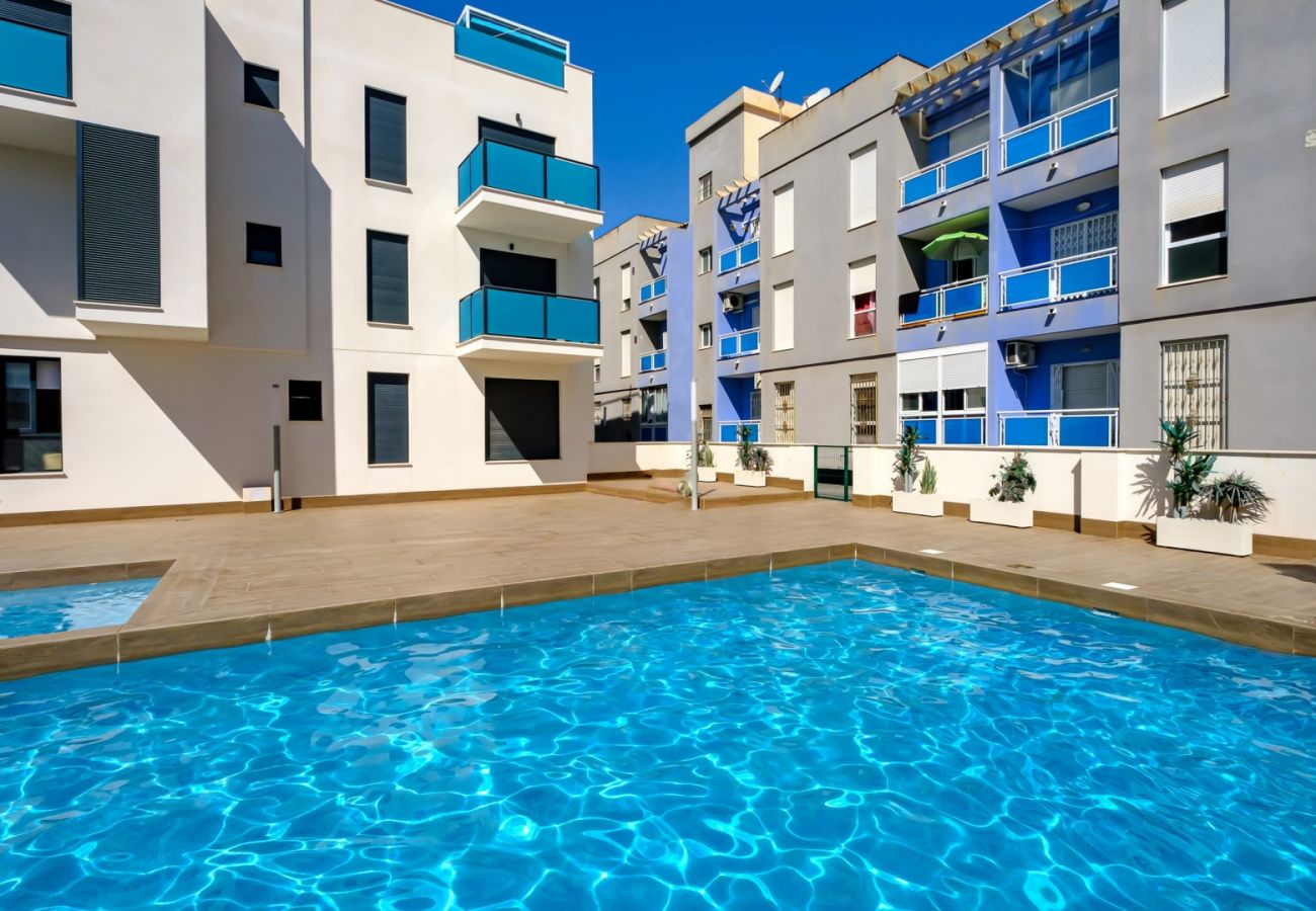 Apartment in Torrevieja - ID150