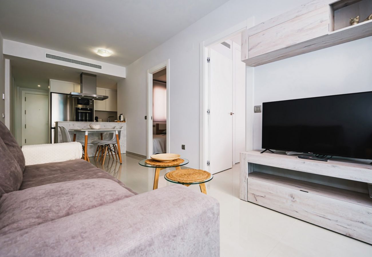 Apartment in Torrevieja - ID150